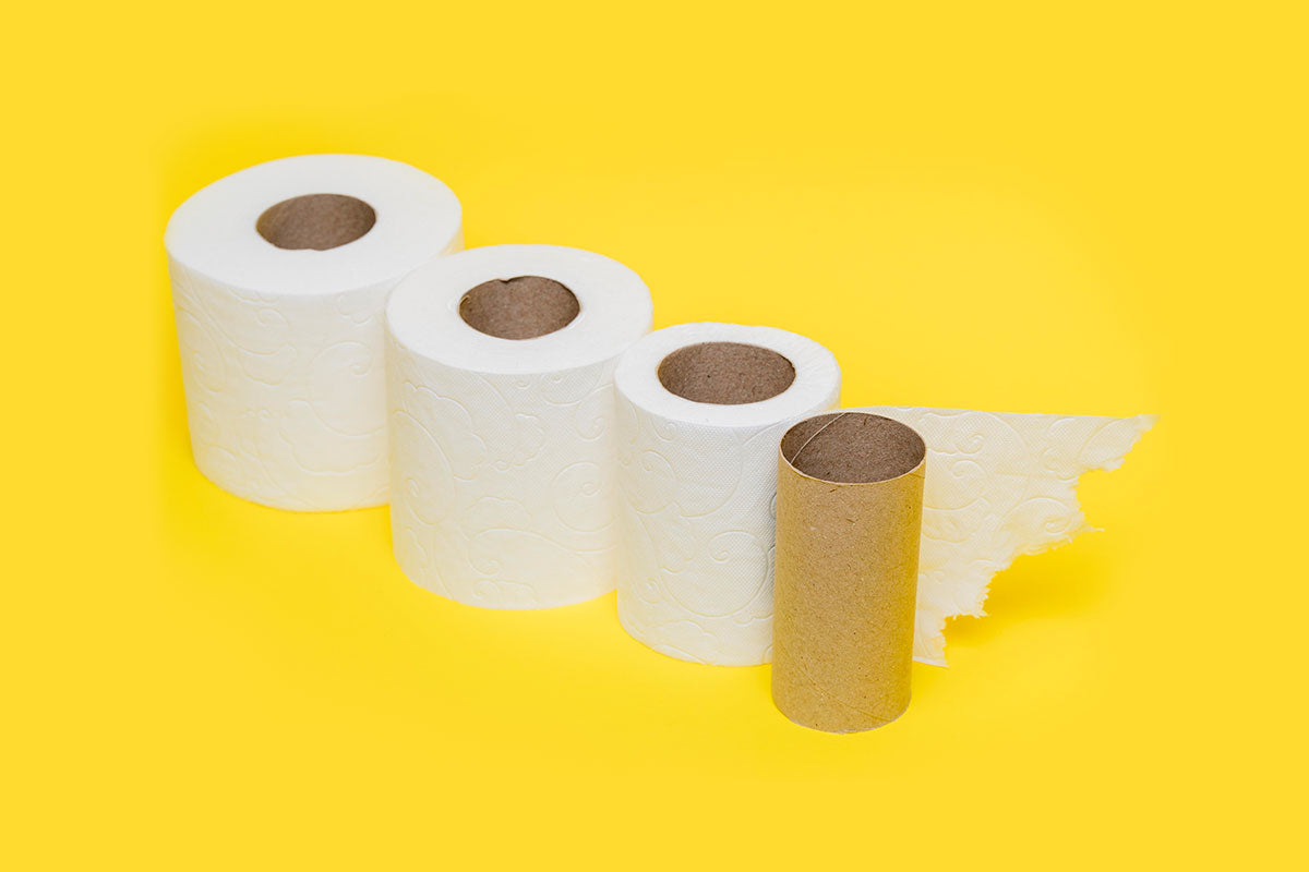 Does Bamboo Toilet Paper Break Down? Eco-Friendly Facts